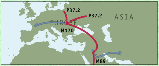 Kuzniewski Genealogy - Projektu Genealogicznego Kuźniewskich